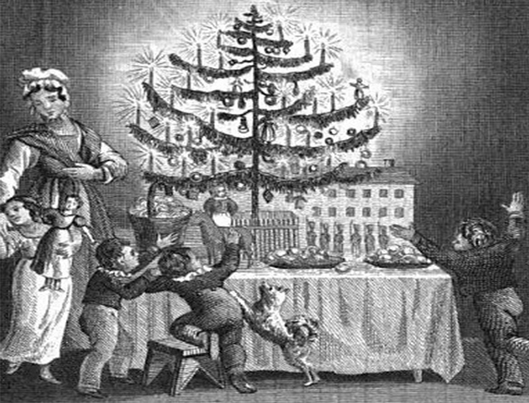 圣诞树.jpg 圣诞树