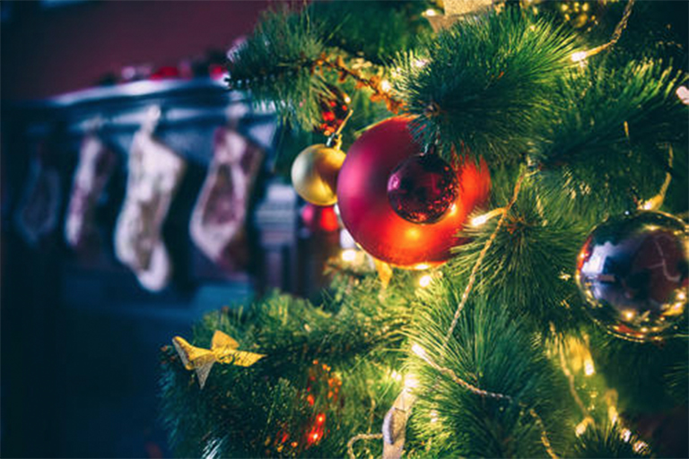 圣诞树.jpg 圣诞树