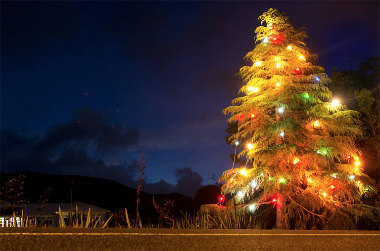 圣诞树.jpg 圣诞树