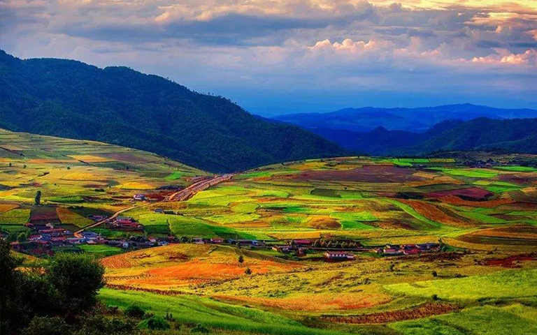 稳定同位素分析