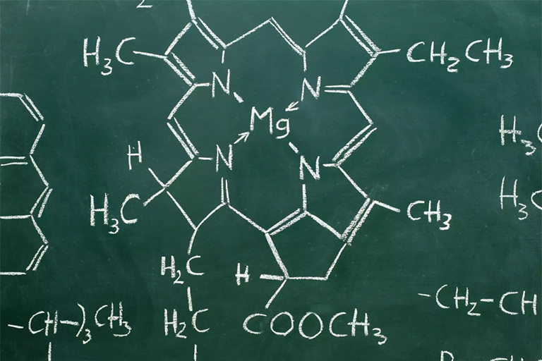 镁是叶绿素分子的核心.jpg 镁是叶绿素分子的核心