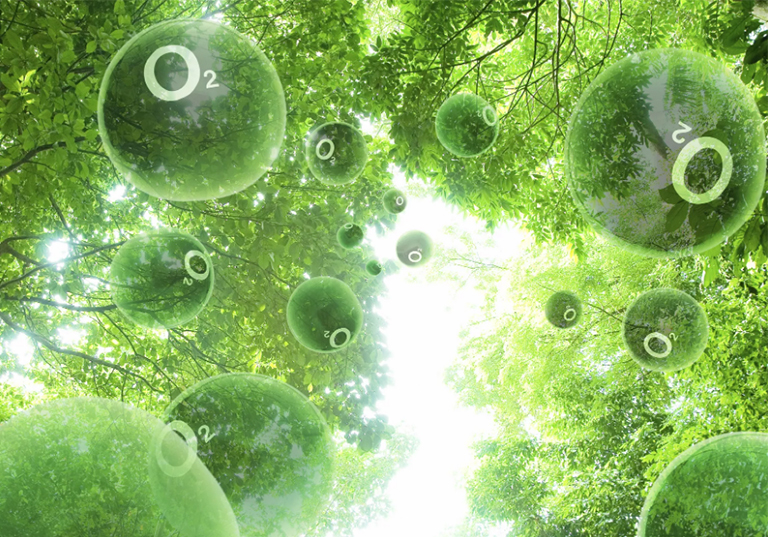 光合作用使地球变得宜居