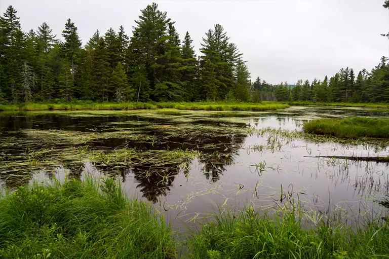 缅因州阿卡迪亚文化.jpg 缅因州阿卡迪亚文化