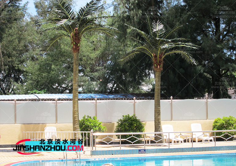 仿真树.jpg 仿真树