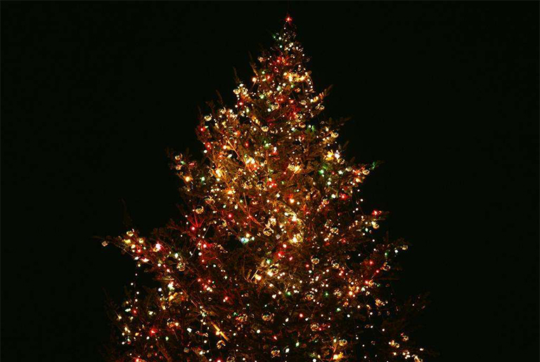 圣诞树.jpg 圣诞树