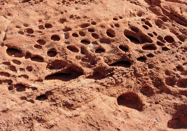 1595907428486331.jpg 7.jpg