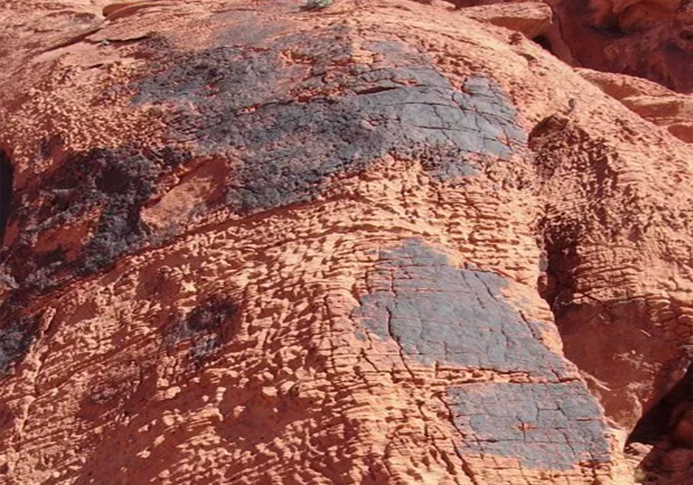 1595907433430333.jpg 6.jpg