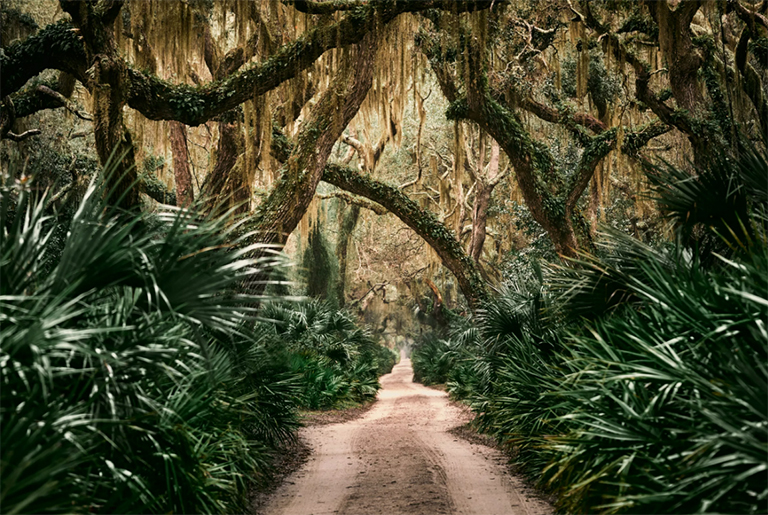 坎伯兰岛国家海岸.jpg 坎伯兰岛国家海岸