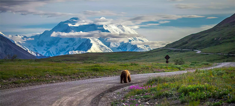 德纳利国家公园和自然保护区.jpg 德纳利国家公园和自然保护区
