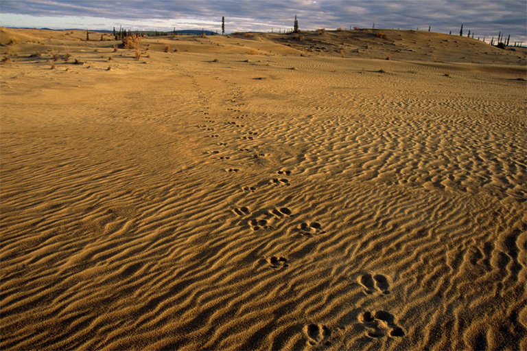 科布谷国家公园.jpg 科布谷国家公园