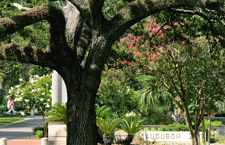 一条路径的照片在水体附近的在背景中的历史协会大楼前.jpg 一条路径的照片在水体附近的在背景中的历史协会大楼前