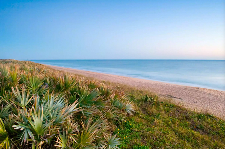 卡纳维尔海滨背景.jpg 卡纳维尔海滨背景