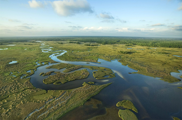 佛罗里达大沼泽地的鸟瞰图.jpg 佛罗里达大沼泽地的鸟瞰图