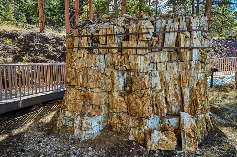 弗洛里桑化石床国家历史文物.jpg 弗洛里桑化石床国家历史文物