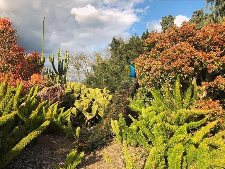 动植物园.jpg 动植物园