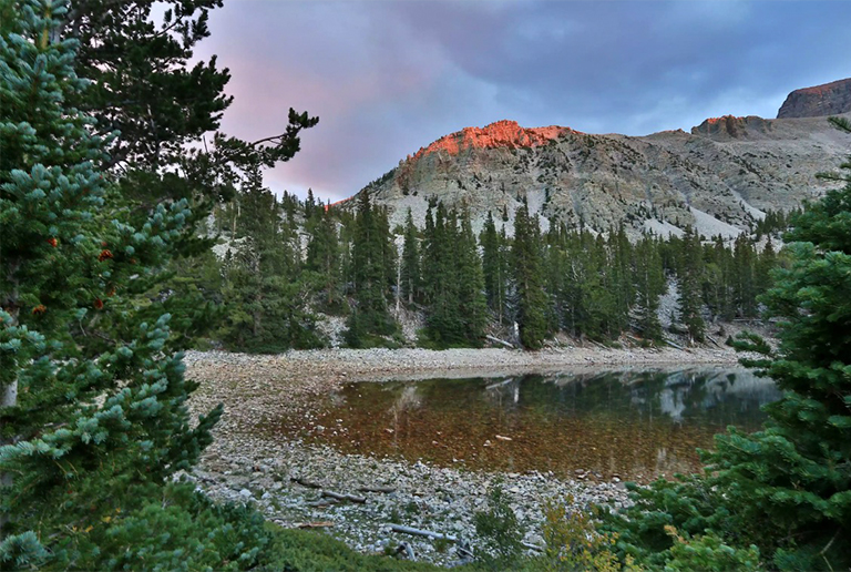 大盆地国家公园