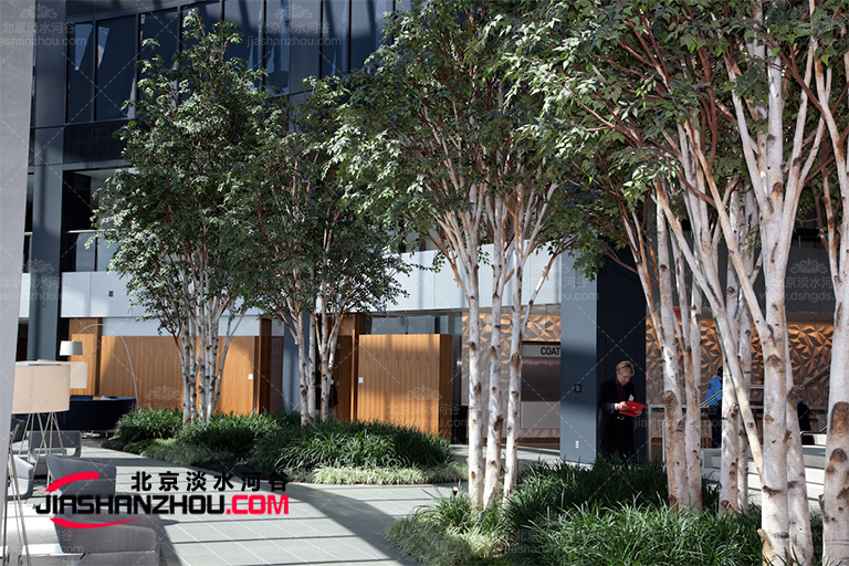 仿真树.jpg 仿真树