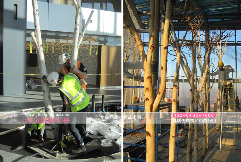 仿真树.jpg 仿真树