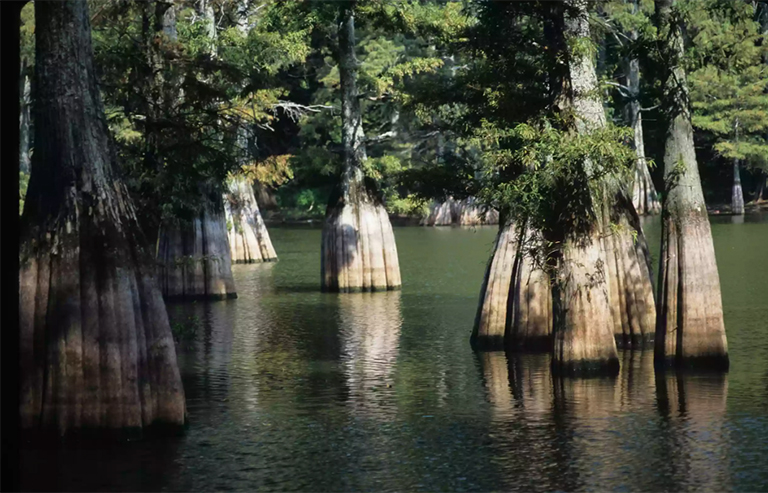 大灌木国家保护区.jpg 大灌木国家保护区