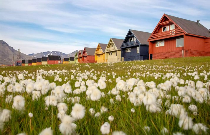 朗伊尔城的房子.jpg 朗伊尔城的房子