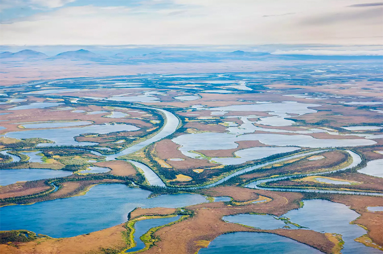 阿拉斯加塞拉维克国家野生动物保护区.jpg 阿拉斯加塞拉维克国家野生动物保护区