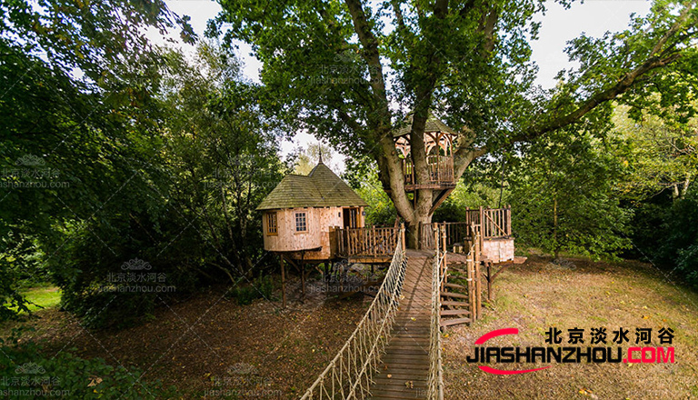 仿真树.jpg 仿真树