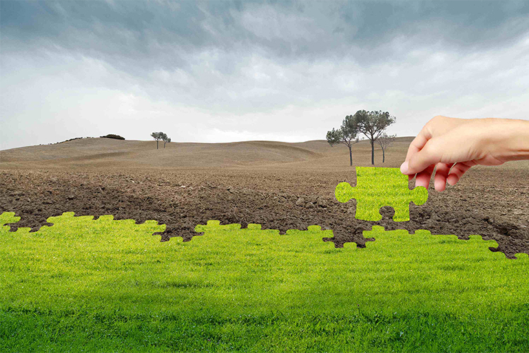 植物和土壤.jpg 植物和土壤