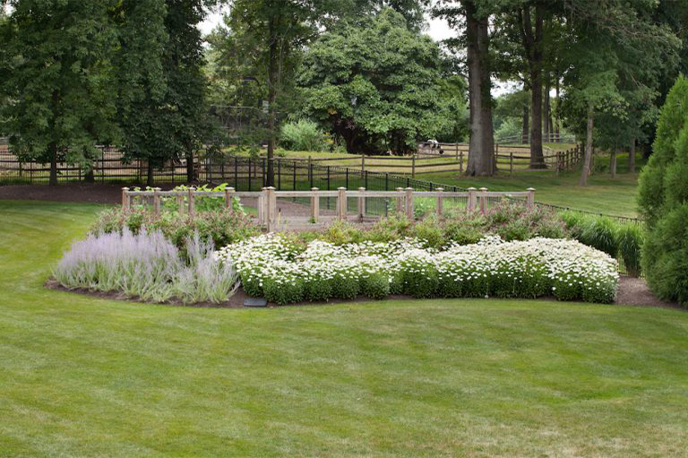 花园蔬菜.jpg 花园蔬菜