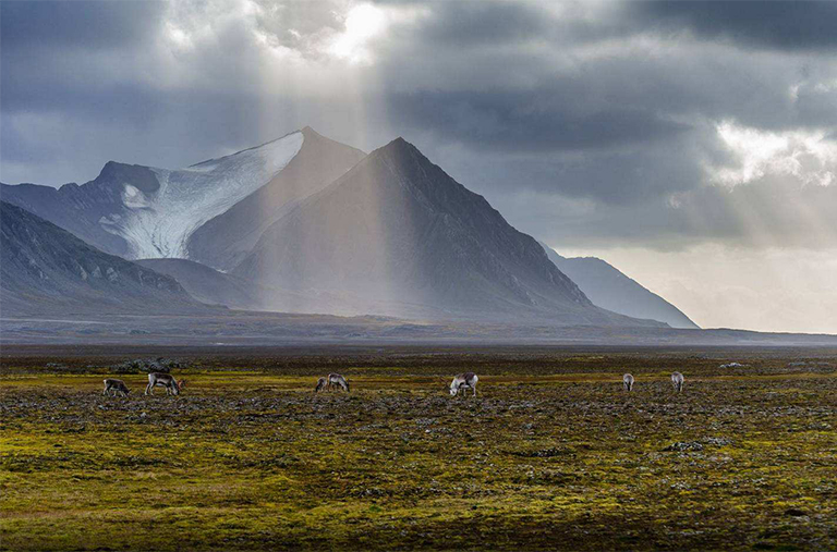 生物群路.jpg 生物群路