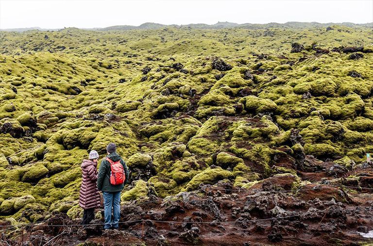 生物群路.jpg 生物群路