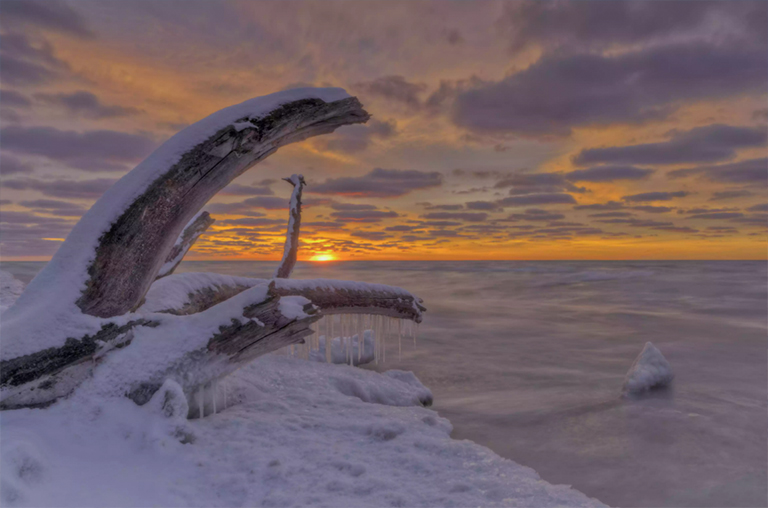 冰冷的湖岸框架上的死树冉冉升起的太阳.jpg 冰冷的湖岸框架上的死树冉冉升起的太阳