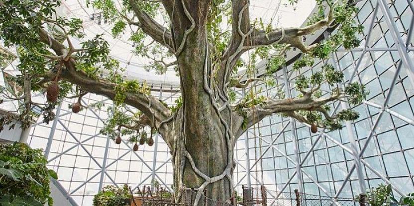 假树造型图片.jpg 假树造型图片