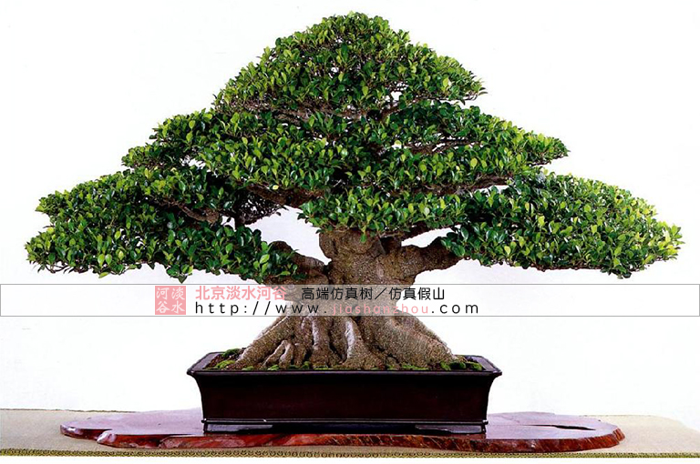 仿真树.jpg 仿真树