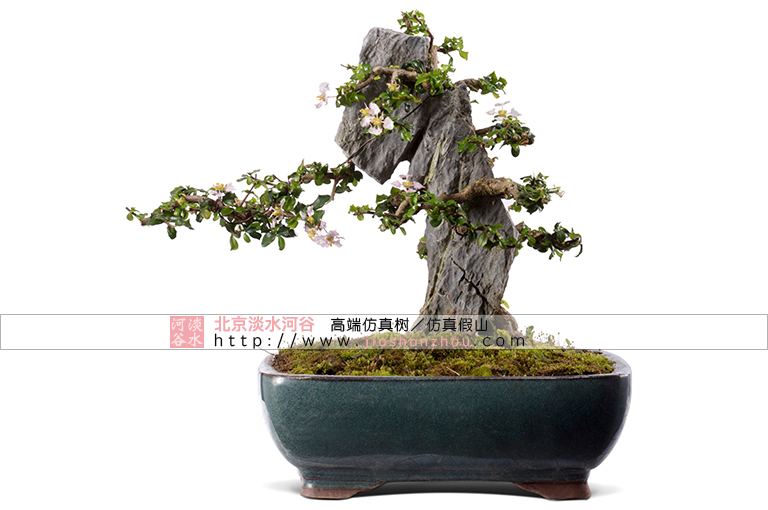 仿真树.jpg 仿真树