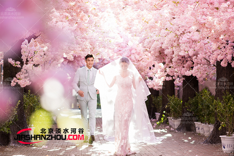 仿真树.jpg 仿真树