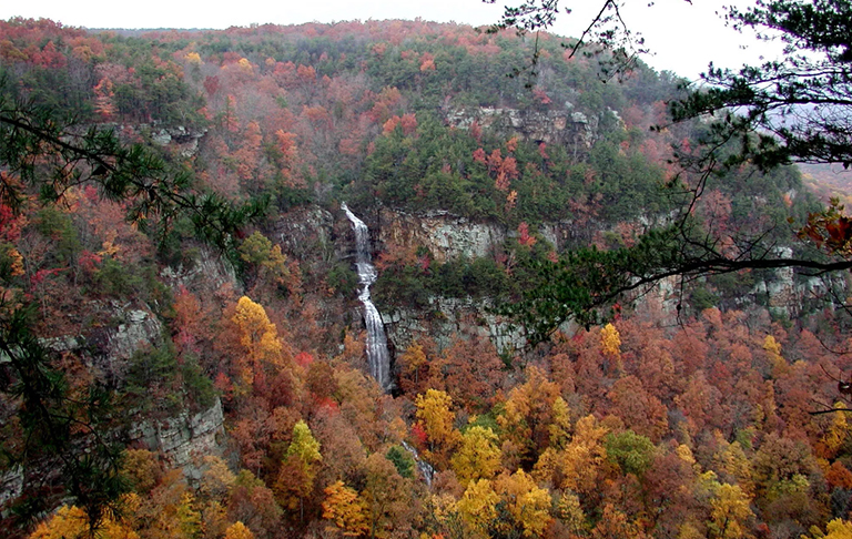 克兰兰峡谷州立公园，上升的小鹿