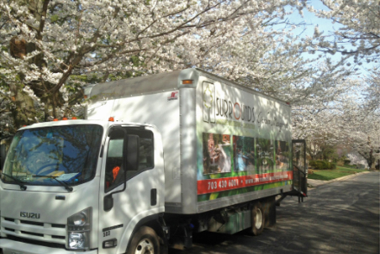 开花的树木.jpg 开花的树木