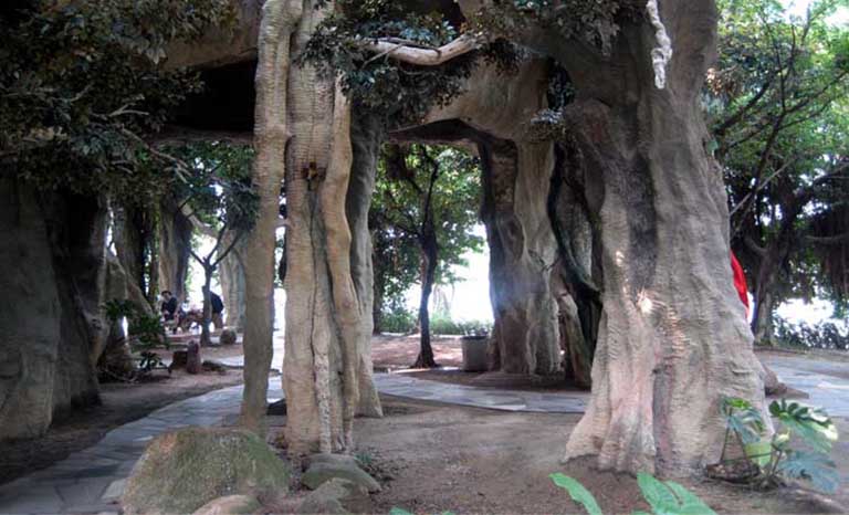 仿真榕树.jpg 仿真榕树