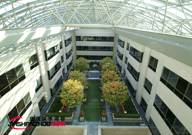 仿真榕树.jpg 仿真榕树