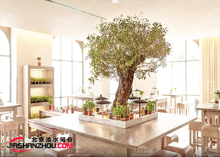 仿真树.jpg 仿真树