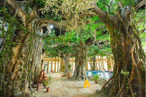 仿真树工程.jpeg 仿真树工程