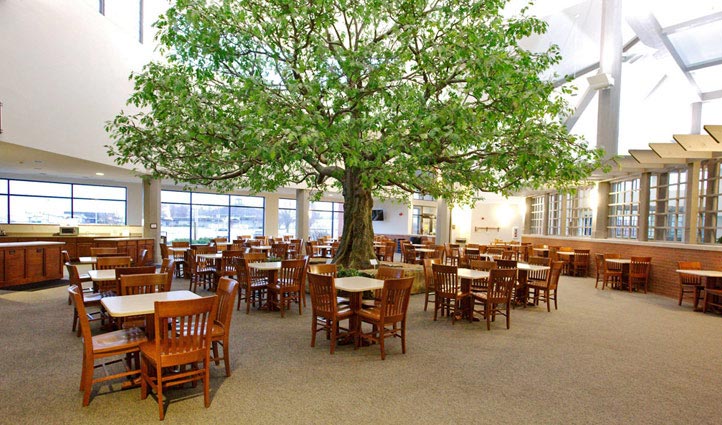 仿真假树.jpg 仿真假树