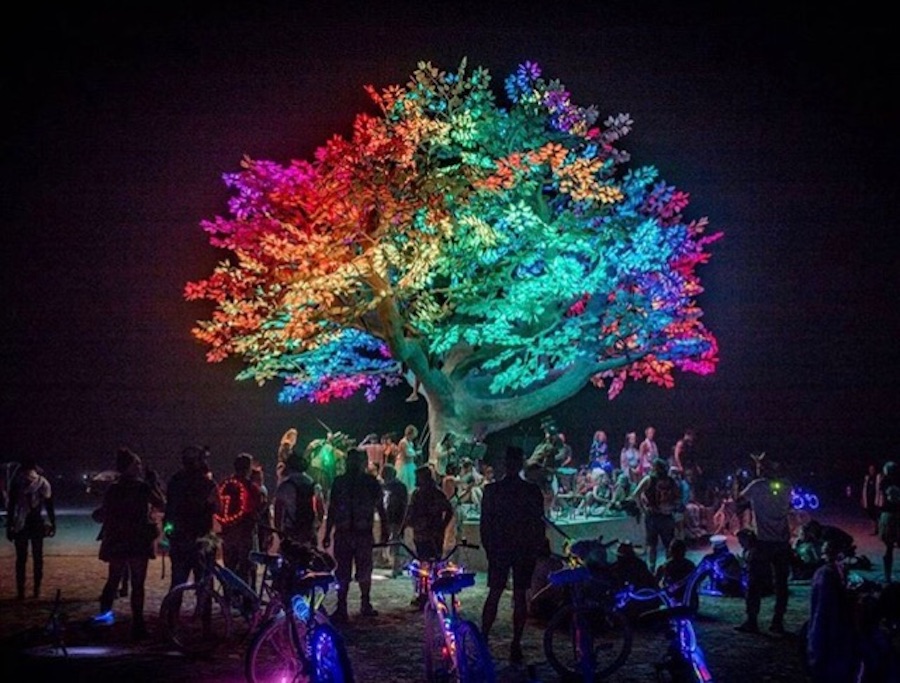 仿真树.jpg 仿真树