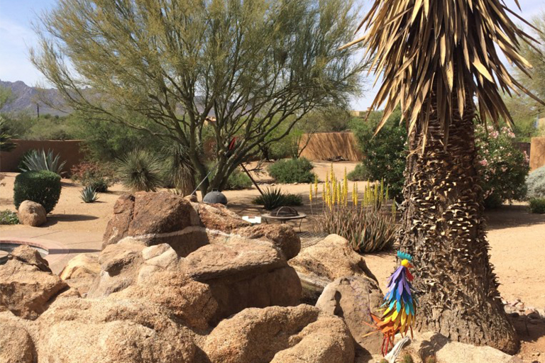 抗旱景观.jpg 抗旱景观