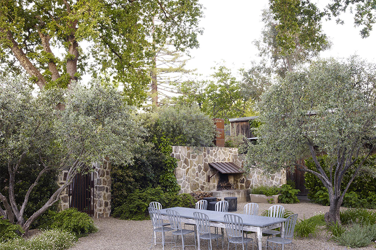 抗旱景观.jpg 抗旱景观