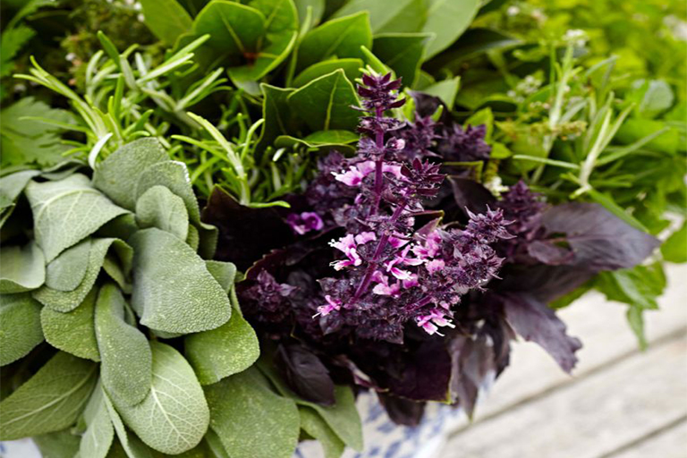 1617260245699756.jpg 15.jpg