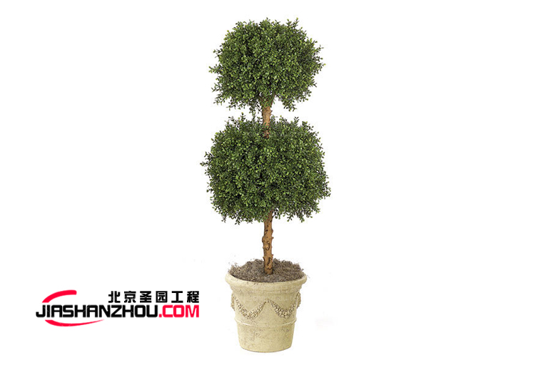 仿真树.jpg 仿真树