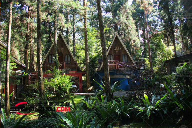 仿真树.jpg 仿真树