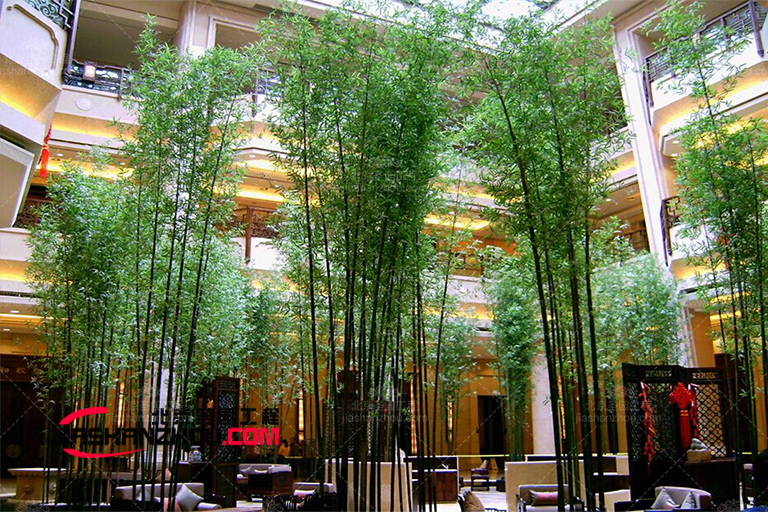 仿真树.jpg 仿真树