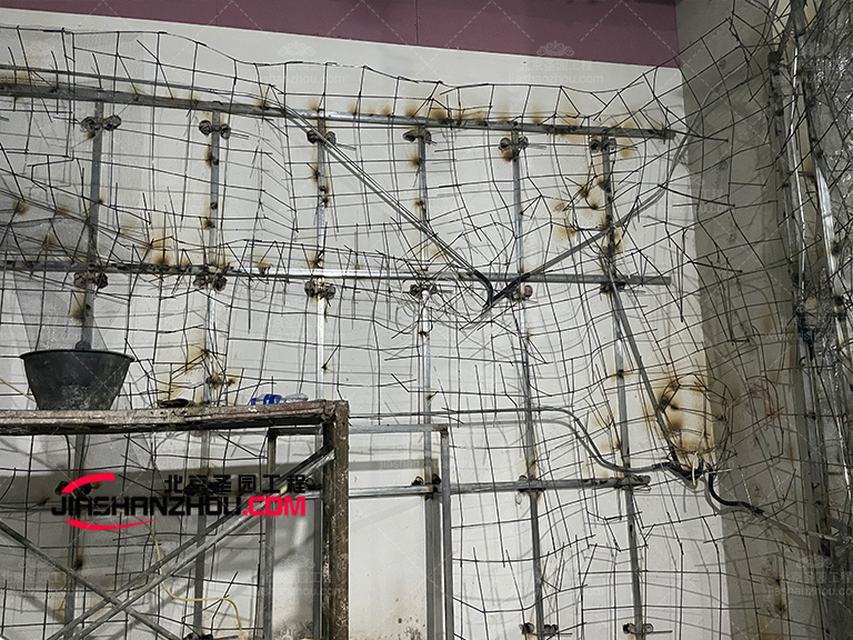 盐疗汗蒸房.jpg 盐疗汗蒸房